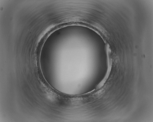 X0000071961118200607141427