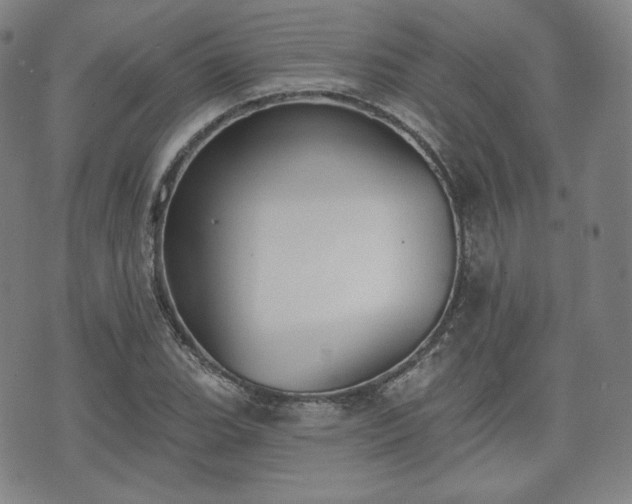 X0000071961119200607141427