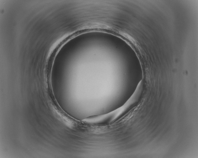 X0000071961120200607141427