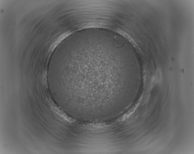 X0000071961121200607141427