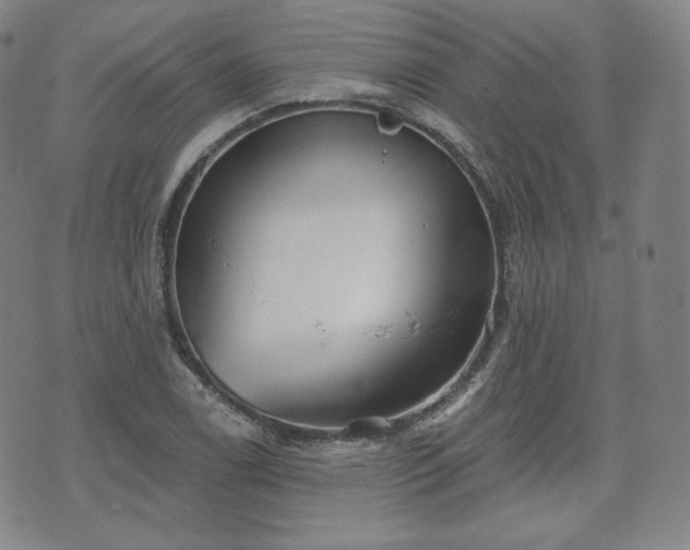 X0000071961122200607141427