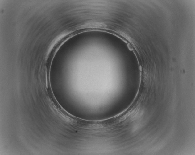 X0000071961123200607141427