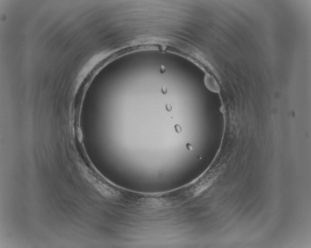 X0000071961124200607141427