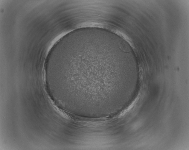 X0000071961125200607141427