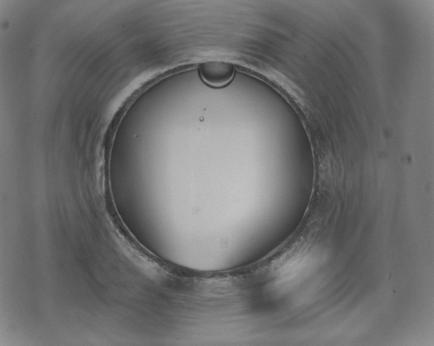 X0000071961126200607141427