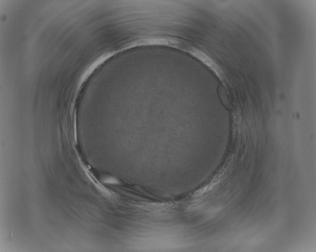 X0000071961127200607141427