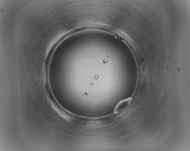 X0000071961128200607141427