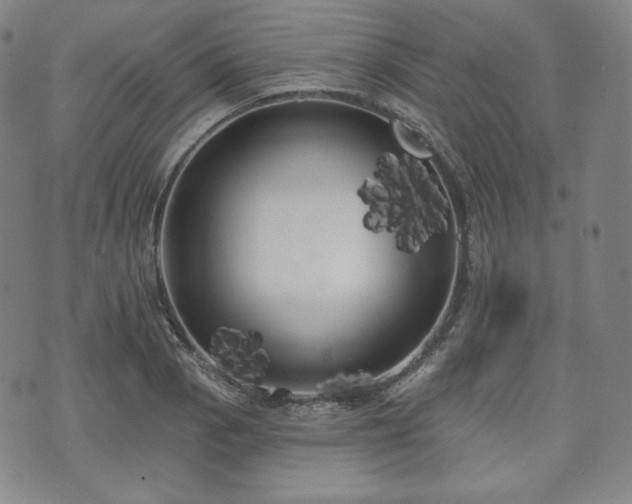 X0000071961129200607141428