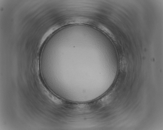 X0000071961130200607141428