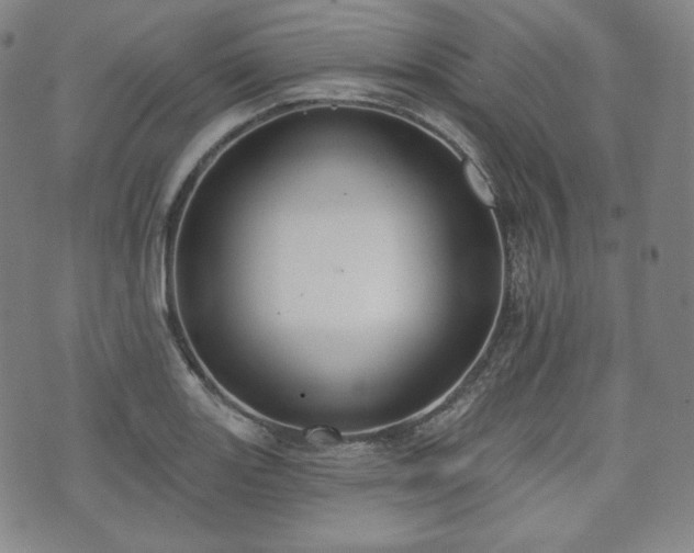 X0000071961131200607141428