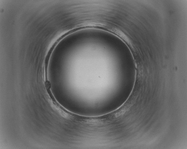 X0000071961132200607141428