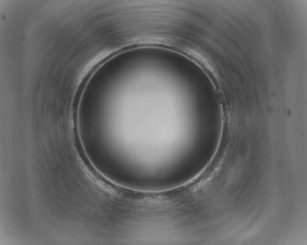 X0000071961133200607141428