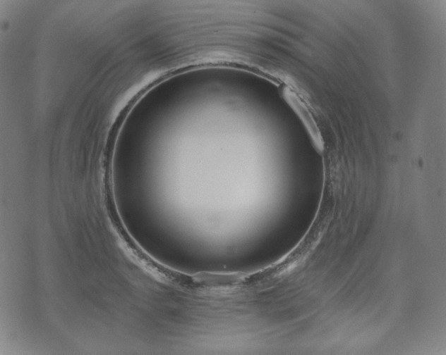 X0000071961134200607141428