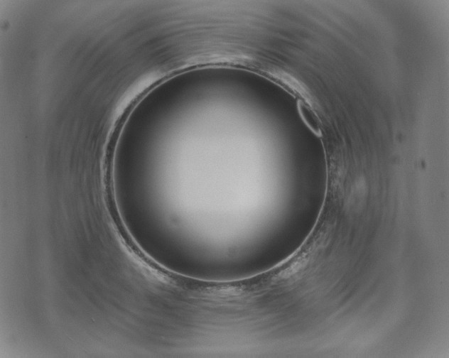 X0000071961135200607141428