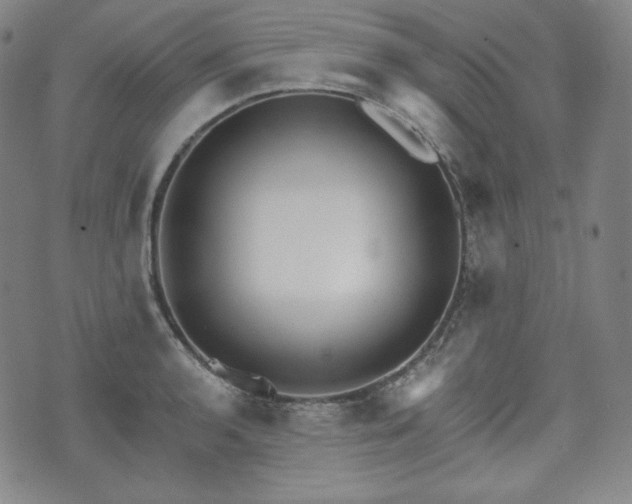 X0000071961136200607141428