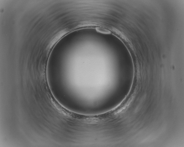 X0000071961137200607141428