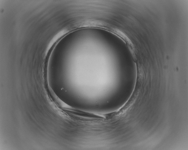 X0000071961138200607141428