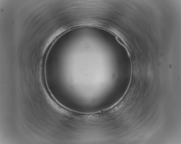 X0000071961139200607141428