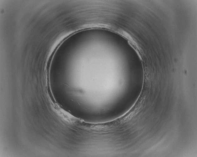 X0000071961140200607141428