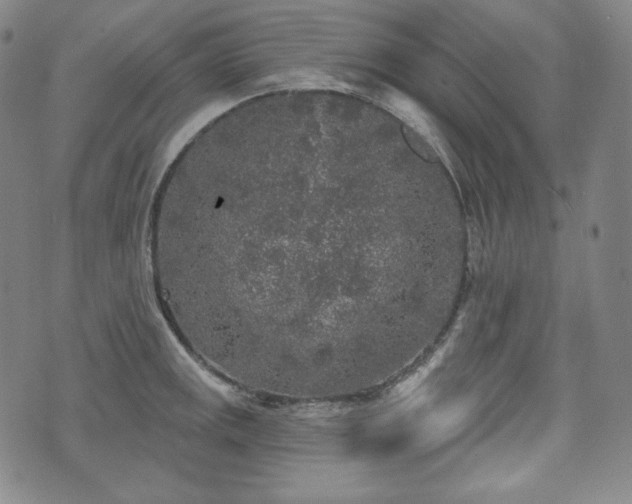 X0000071961141200607141428