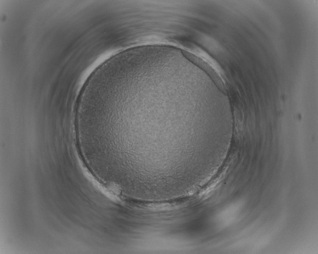 X0000071961142200607141428