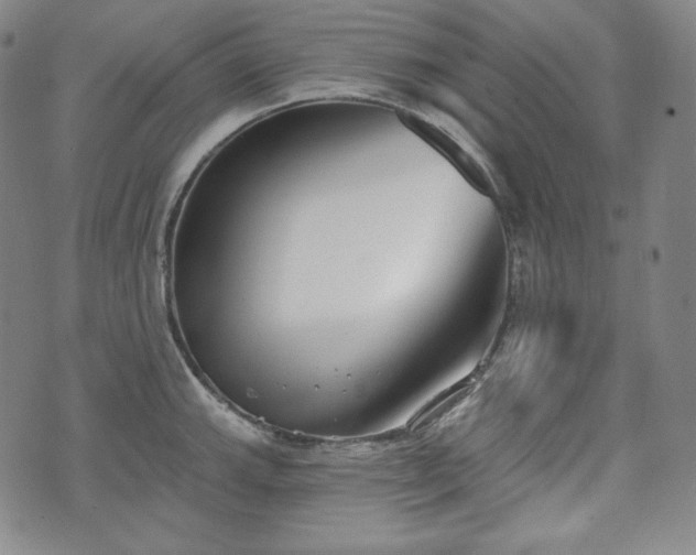 X0000071961143200607141428