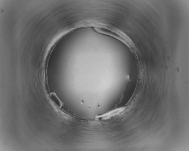 X0000071961144200607141428