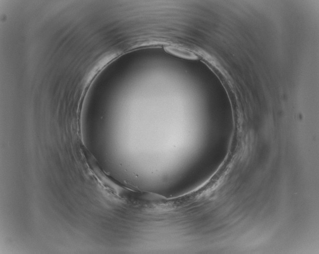 X0000071961145200607141428