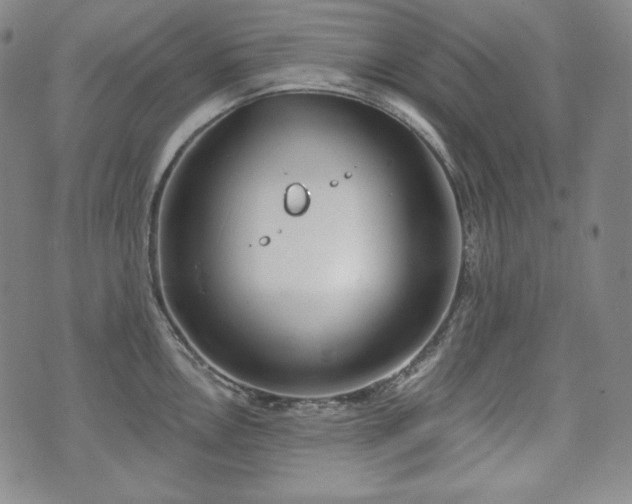 X0000071961146200607141428