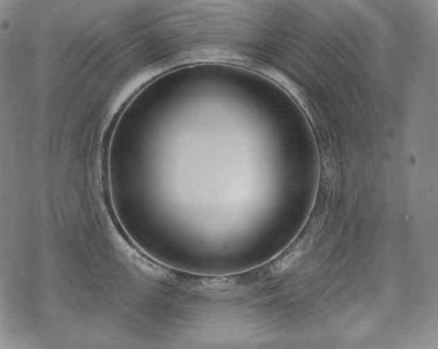 X0000071961147200607141428