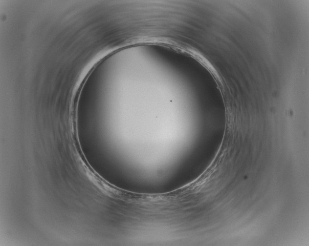 X0000071961148200607141428