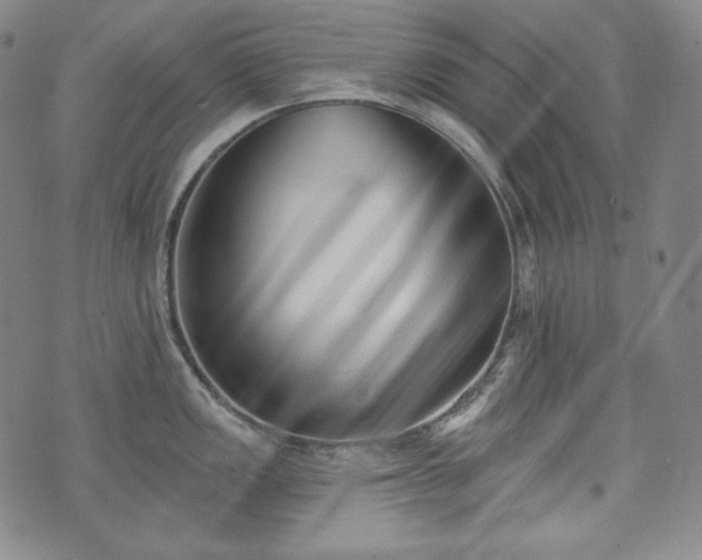 X0000071961149200607141428