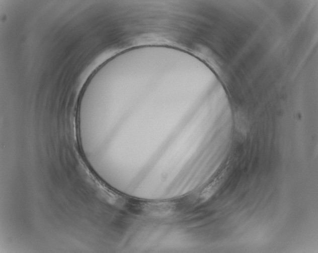 X0000071961150200607141428