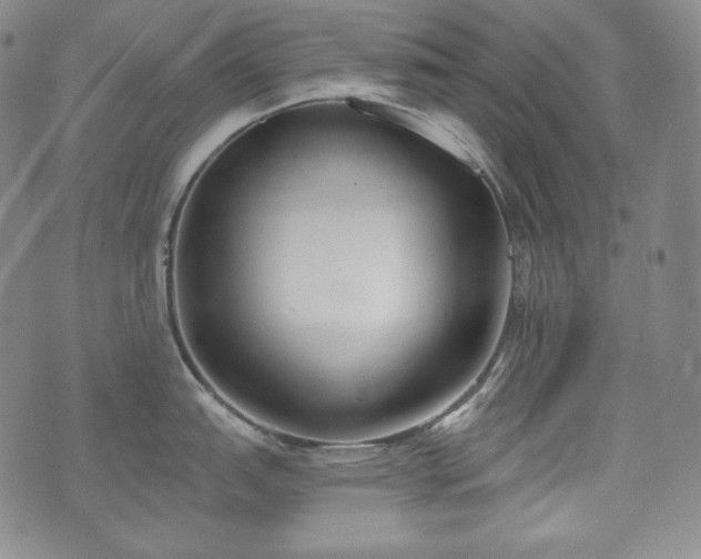 X0000071961151200607141428