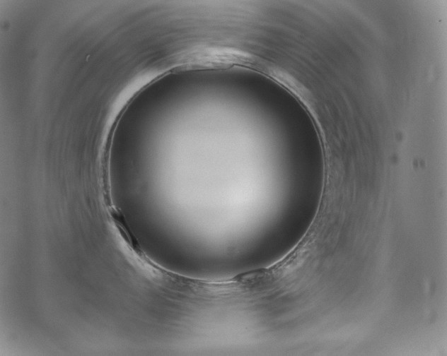 X0000071961152200607141428