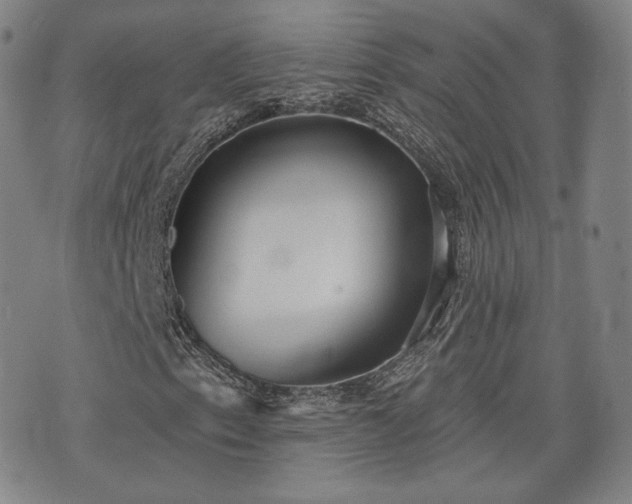 X0000071961153200607141427