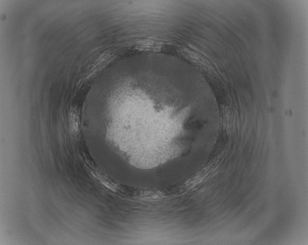 X0000071961154200607141427