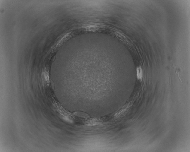 X0000071961155200607141427