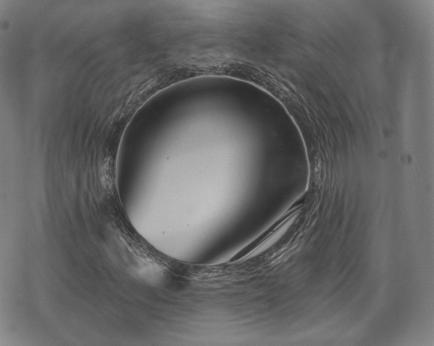 X0000071961156200607141427