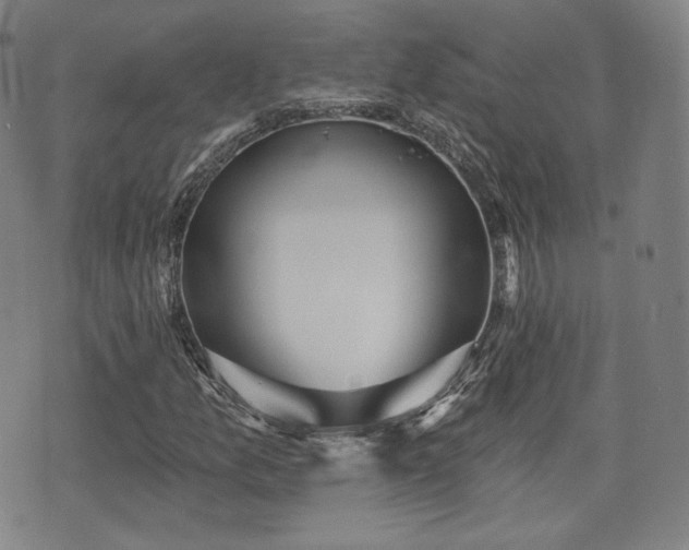 X0000071961157200607141427