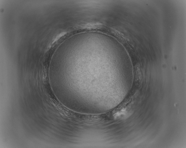 X0000071961158200607141427