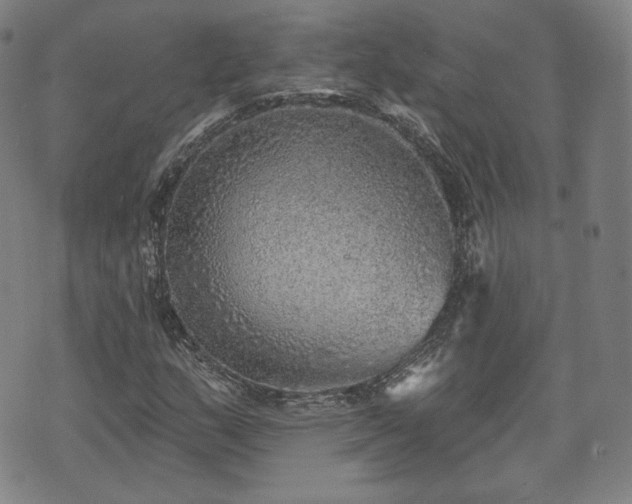 X0000071961159200607141427