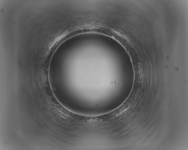 X0000071961160200607141427