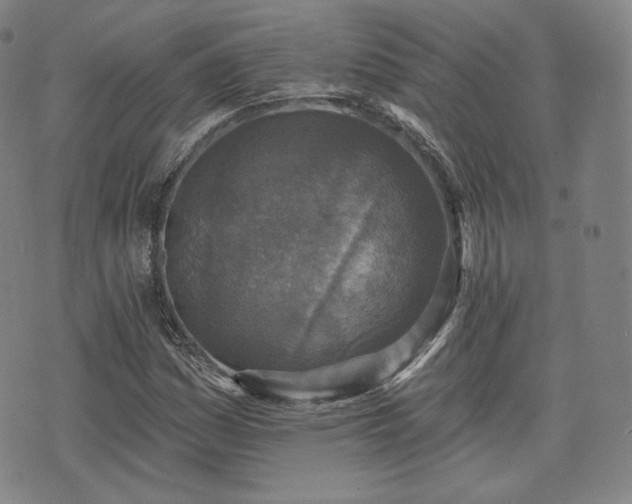 X0000071961161200607141427