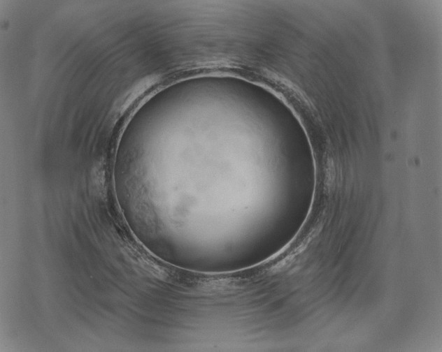 X0000071961162200607141427