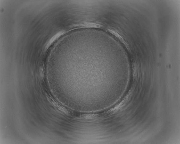 X0000071961163200607141427