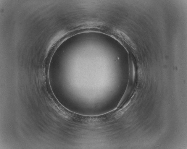 X0000071961164200607141427