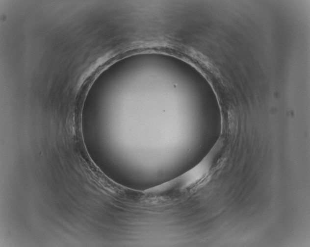 X0000071961165200607141427