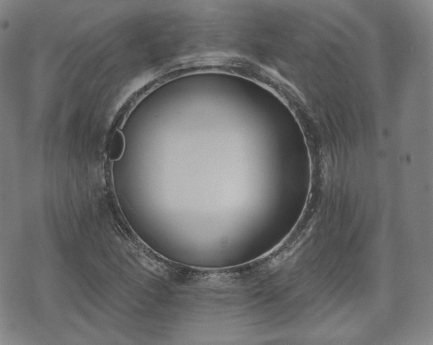 X0000071961166200607141427