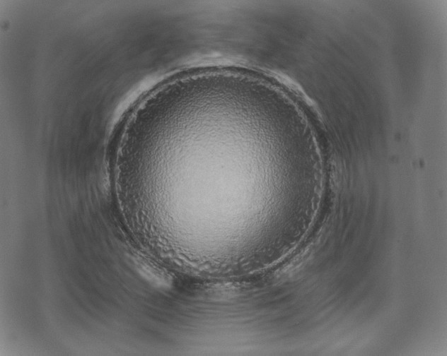 X0000071961167200607141427